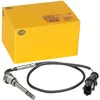 Image de HELLA Palpeur température des gaz 6PT 358 181-051