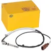 Image de HELLA Palpeur température des gaz 6PT 358 181-521