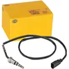 Image de HELLA Palpeur température des gaz 6PT 358 181-431
