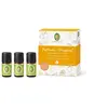 Image de PRIMAVERA Set Duftendes Zitrusglück bio Grapefruit, Orange und Zitrone, 15 ml Solution