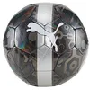 Image de Puma Boule de Coupe