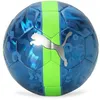 Image de PUMA Boule de Coupe
