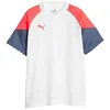 Image de PUMA Individualcup Maillot Jr Football, Orchidée feu Blanc, 176 Mixte Enfant