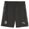 Image de PUMA Stade Rennais Short de Foot Noir/Gris Homme 2023/24 Noir S