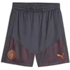 Image de Short Puma Manchester City FC Training Homme