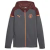 Image de PUMA Manchester City Sweat Zippé Grise Homme Casuals Hooded Gris XS