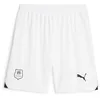 Image de PUMA Stade Rennais Short Blanc Homme 2023/24 Blanc M