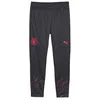 Image de PUMA MCFC Training Pants Pantalon d'entraînement Unisexe pour Adulte