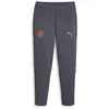 Image de PUMA Manchester City Jogging de Foot Gris Homme 2023/24 Gris S