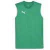 Image de PUMA Teamfinal Maillot d'entraînement SL Tee Mixte, Vert Sport Argent, S