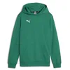 Image de Puma Sweat à Capuche Teamgoal Casuals Jr pour garçon