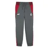 Image de PUMA Milan AC Jogging de Foot Gris Homme 2024 Gris XS
