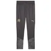 Image de PUMA Pantalon Pant Om TRG (DK Sand)