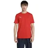 Image de Puma Homme Teamgoal Casuals Tee, Teamgoal/Puma Red-Puma White, XL EU