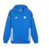 Image de PUMA Hoodie FtblArchive Manchester City S Racing Blue Team Light