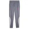 Image de PUMA Milan AC Pantalon de survêtement Gris/Rose Homme 23/24 Gris XS