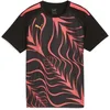 Image de PUMA T-Shirt Unisexe Individualliga Graphic Jersey Jr