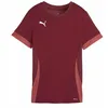 Image de Puma Maillot de Football Unisexe Teamgoal Matchday WMNS