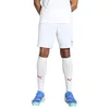 Image de Puma teamGOAL Shorts, Short en Maille Adultes Unisexes, Puma White-Puma Black, 705752