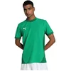 Image de PUMA l'équipe Maillot de Football, Vert Sport Blanc-Vert, L Mixte