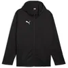 Image de PUMA Teamfinal Veste Polaire d'entraînement Capuche, Noir Argent, L Mixte