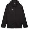 Image de PUMA Teamfinal Veste d'entraînement à capuche en polaire unisexe