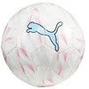 Image de PUMA Ballon graphique PUMA FINAL