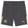 Image de PUMA Om Short Noir/Doré Homme Foot 2023/2024 Noir L