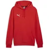 Image de Puma Pull à Capuche Teamgoal Casuals pour Homme