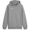 Image de Puma Sweat à Capuche Teamgoal Casuals Jr pour garçon