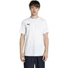 Image de Puma Homme Teamgoal Casuals Tee, Teamgoal/Puma White-Puma Black, S EU