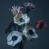 Image de L'impermanence en occasion ou reconditionné