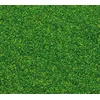 Image de Faller - F170702 - Modélisme - Flocage - Vert Clair