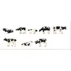 Image de Faller - Vaches. frisonnes pies Noires - FA155903