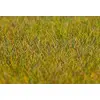 Image de Faller - F180484 - Modélisme - Fibres Floc Premium Près - 30 g