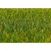 Image de Faller - F180485 - Modélisme - Fibres Floc Premium Herbe - 30 g