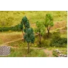 Image de Faller 4 Arbres, Assortis