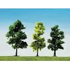 Image de Faller - F181497 - Modélisme - Arbre Forêt - 15 Pièces