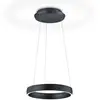 Image de Knapstein Suspension LED Sara-40 noire, 2 200-3 000 K