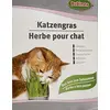 Image de Herbe à chat Bubimex 100g
