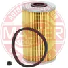 Image de MASTER-SPORT GERMANY Filtre à carburant 726X-KF-PCS-MS