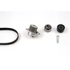 Image de HEPU PK08120 Distribution Kit avec Pompe à Eau