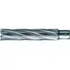Image de BDS Foret trépan HKE-L Weldon HM extra-long, 28/110 mm