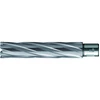 Image de BDS Foret trépan HKE-L Weldon HM extra-long, 55/110 mm