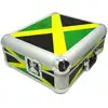 Image de Zomo SL-12 Jamaica flight case pour platine vinyle
