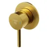 Image de Steinberg Série 100 Mitigeur bain/douche, mitigeur monocommande, encastré, 1 consommateur, 1002250BG, Couleur: Brushed Gold
