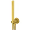 Image de Steinberg Série 100 Garniture de douche à main, avec coude de raccordement de douche intégré, douchette à main à tige, 1001670BG, Couleur: Brushed Gold