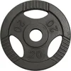 Image de Gorilla Sports® Disques de Poids - Olympiques, Individuel/Ensemble, 1,25kg, 2,5kg, 5kg, 10kg, 15kg, 20kg Poids, Ø 50mm, Argent - Disques d'Haltères, Ensemble de Plaques, Musculation, Haltérophilie