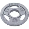 Image de Gorilla Sports® Disques de Poids - Olympiques, Individuel/Ensemble, 1,25kg, 2,5kg, 5kg, 10kg, 15kg, 20kg Poids, Ø 50mm, Argent - Disques d'Haltères, Ensemble de Plaques, Musculation, Haltérophilie