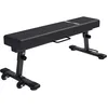 Image de GORILLA SPORTS® Banc Musculation - Plat, Pliable, 121x41x43cm, Acier, Robuste, Charge Max 400kg - Banc Pliable, Appareil Musculation, Work Bench, Fitness Materiel, Salle de Sport, Home Gym